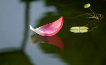 Bất động trước thế gian